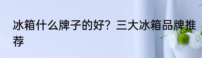 冰箱什么牌子的好？三大冰箱品牌推荐
