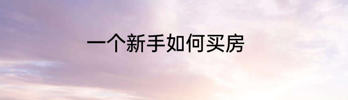 一个新手如何买房