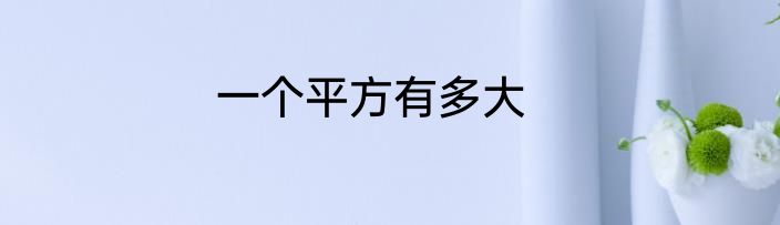 一个平方有多大