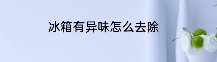 冰箱有异味怎么去除