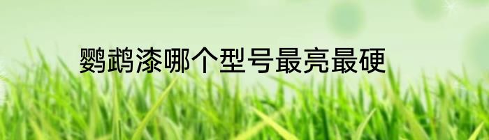 鹦鹉漆哪个型号最亮最硬