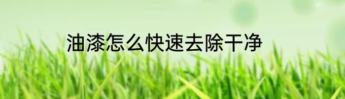 油漆怎么快速去除干净