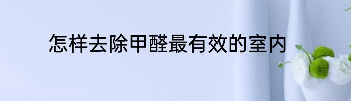 怎样去除甲醛最有效的室内