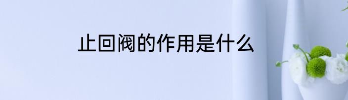止回阀的作用是什么