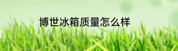 博世冰箱质量怎么样