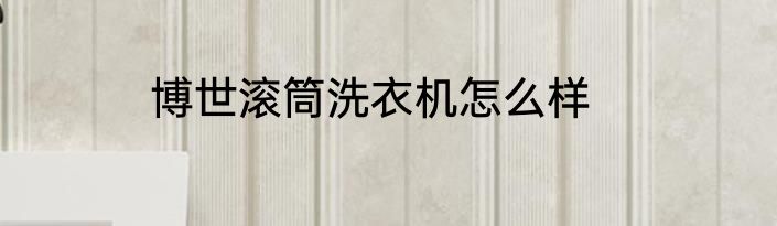 博世滚筒洗衣机怎么样