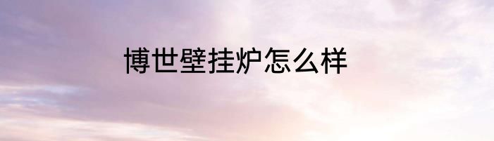 博世壁挂炉怎么样