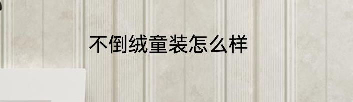 不倒绒童装怎么样