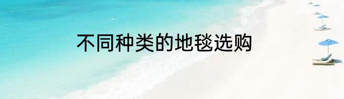 不同种类的地毯选购