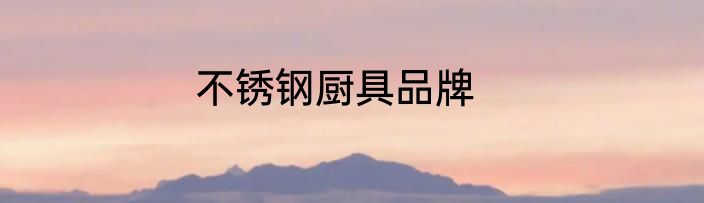 不锈钢厨具品牌