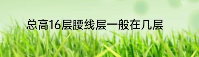 总高16层腰线层一般在几层