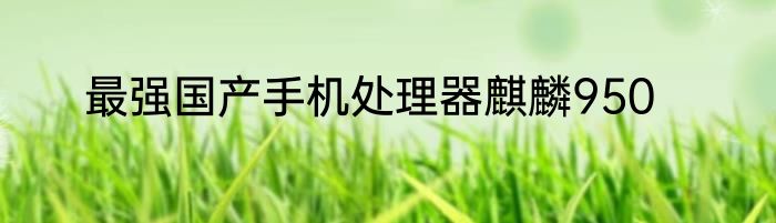 最强国产手机处理器麒麟950