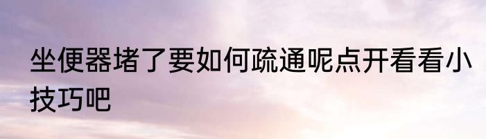坐便器堵了要如何疏通呢点开看看小技巧吧
