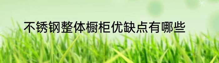 不锈钢整体橱柜优缺点有哪些