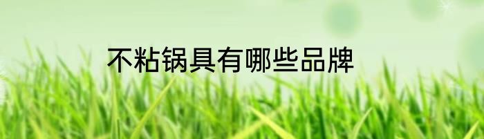 不粘锅具有哪些品牌