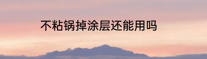 不粘锅掉涂层还能用吗