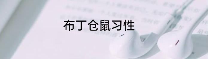 布丁仓鼠习性