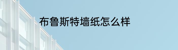 布鲁斯特墙纸怎么样
