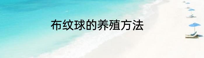 布纹球的养殖方法