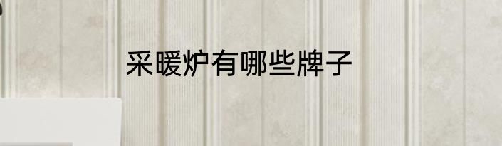 采暖炉有哪些牌子