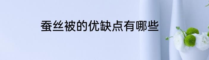 蚕丝被的优缺点有哪些