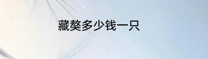 藏獒多少钱一只