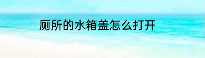 厕所的水箱盖怎么打开