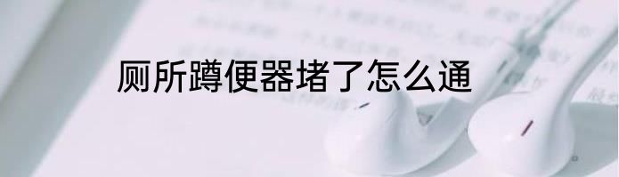 厕所蹲便器堵了怎么通