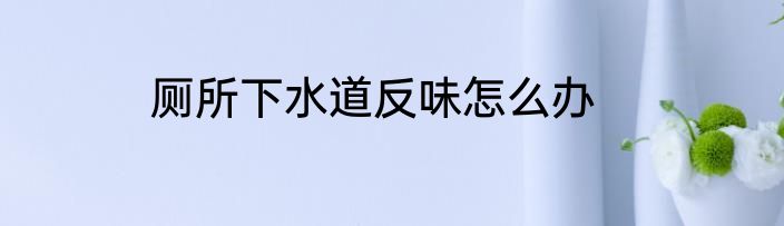 厕所下水道反味怎么办