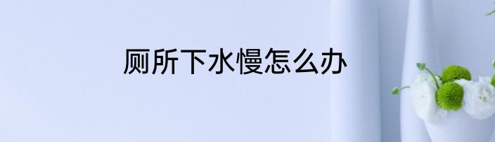 厕所下水慢怎么办