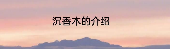 沉香木的介绍