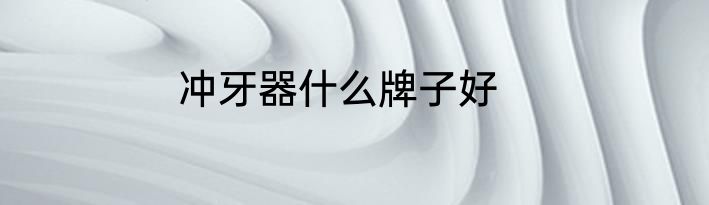 冲牙器什么牌子好