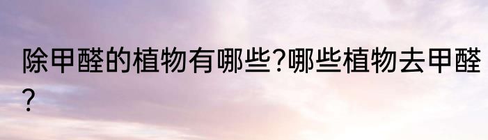 除甲醛的植物有哪些?哪些植物去甲醛?