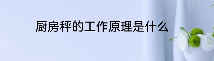 厨房秤的工作原理是什么