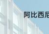 阿比西尼亚天竺鼠价格