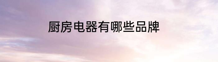 厨房电器有哪些品牌