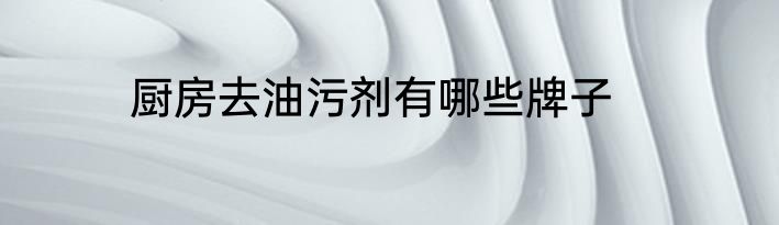 厨房去油污剂有哪些牌子