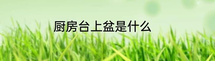 厨房台上盆是什么
