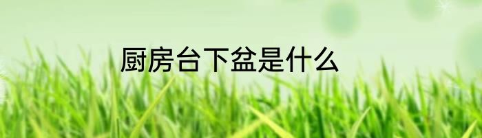 厨房台下盆是什么