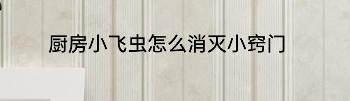 厨房小飞虫怎么消灭小窍门