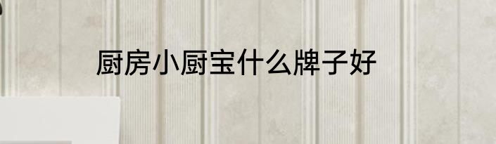 厨房小厨宝什么牌子好