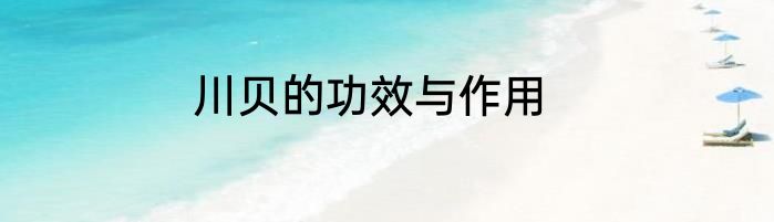 川贝的功效与作用