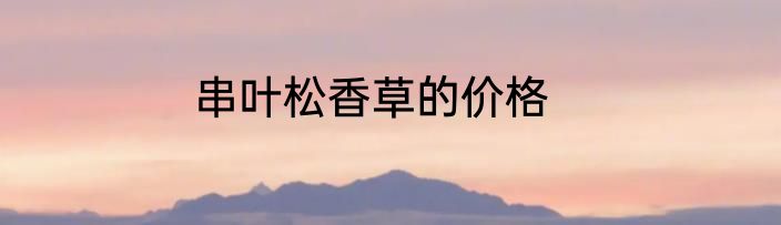 串叶松香草的价格
