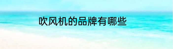 吹风机的品牌有哪些