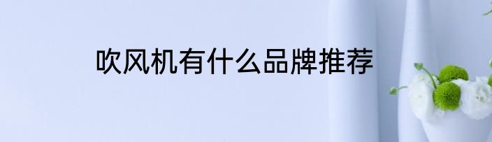 吹风机有什么品牌推荐