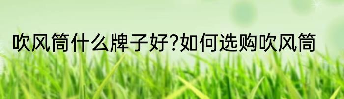 吹风筒什么牌子好?如何选购吹风筒