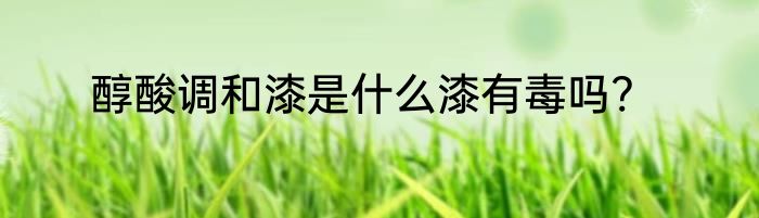醇酸调和漆是什么漆有毒吗?