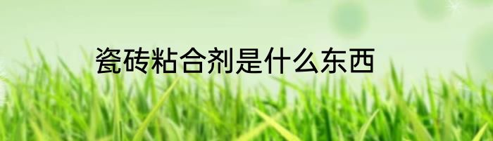 瓷砖粘合剂是什么东西