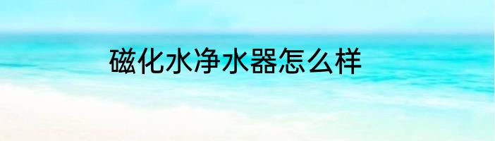 磁化水净水器怎么样