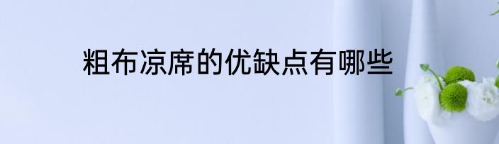 粗布凉席的优缺点有哪些